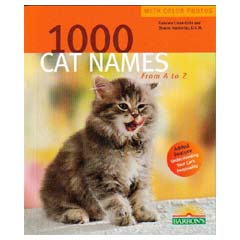 Cat Names From A-Z