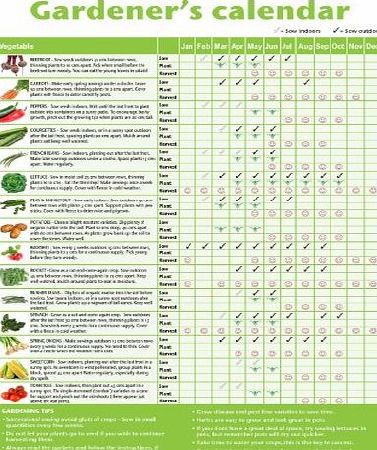 123 Web Art A3 novice gardeners/beginners vegetable growing gardening calendar. Ideal small gift for mothers day, fathers day, classrooms or schools offering horticultural lessons. Laminated (not encapsulated, pl