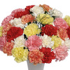 3 0 Classic Carnations