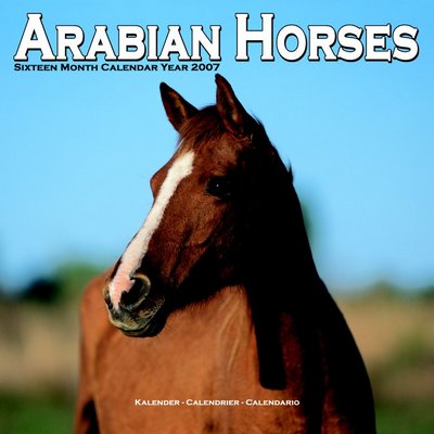 365 Calendars 2006 Arabian Horses 2006 Calendar