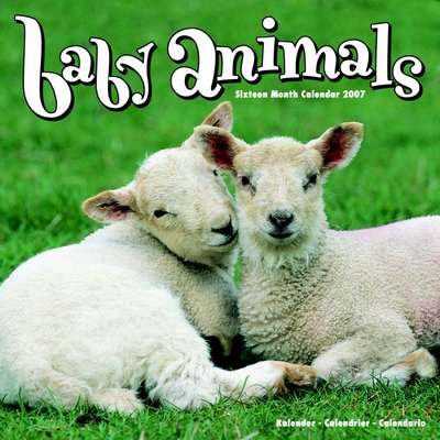 Baby Animals 2006 Calendar