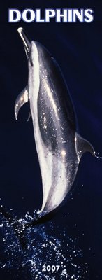 Dolphins - SLIM 2006 Calendar
