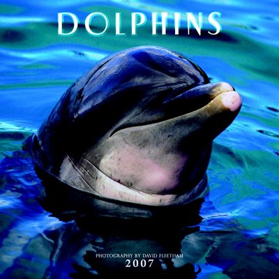 Dolphins 2006 Calendar