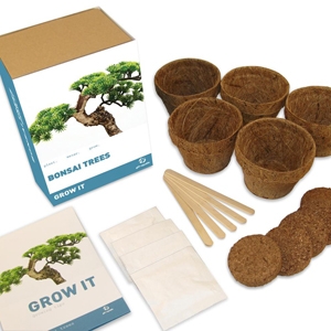 Bonsai Trees Grow It Kit