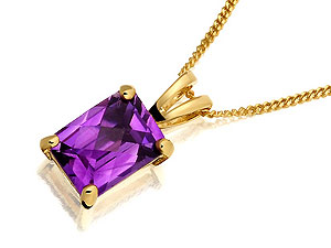 9ct Gold Amethyst Pendant And Chain - 188219