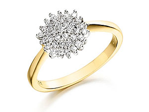 9ct gold and Diamond Cluster Ring 046018-J