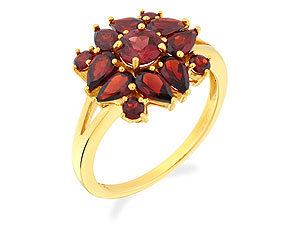 9ct gold and Garnet Ring 180317-Q