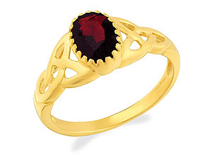 9ct gold and Garnet Ring 180318-L