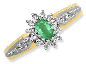 9ct gold Emerald and Diamond Cluster Ring 047631-L