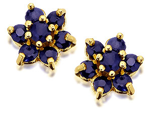 9ct Gold Sapphire Cluster Earrings 7mm - 070488