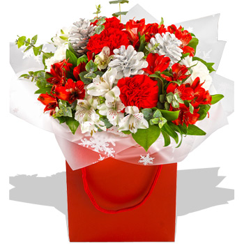 A Christmas Gift - flowers
