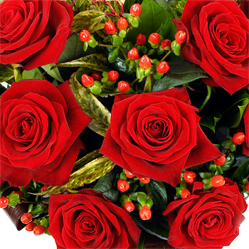 Dozen Luxury Red Roses - flowers