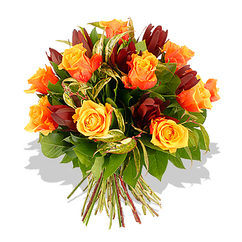 Dozen Orange Roses - flowers