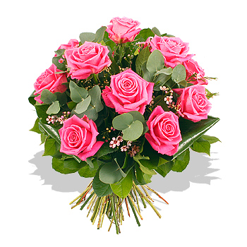 A Dozen Pink Roses - flowers