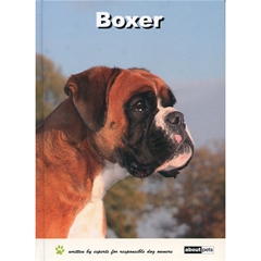 The Boxer (Book)