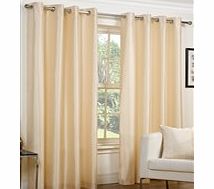 ACE Faux Silk Lined Ring Top Curtains
