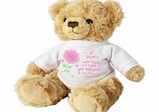 Id Pick You Teddy Bear With Personalised T-Shirt