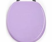 Painted Toilet Seat