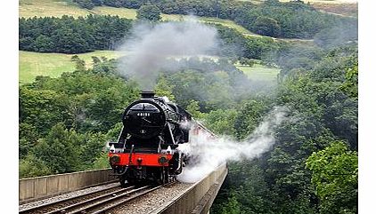 Steam Train Experience for Two 10184316