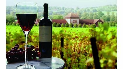 Vineyard Experience with Lunch for Two 10184134