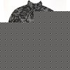 Addict Trak Jacket Swift Rain Camo (Black rain)
