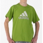 adidas Junior Essential Logo T-Shirt Rave Green