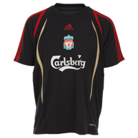 Adidas Liverpool Training Jersey - Phantom/Light