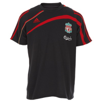 Liverpool Training T-Shirt - Phantom/Light