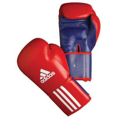 Pro Kick Boxing Glove (ADITHAI01 - 10oz Pro Kick Boxing Glove)