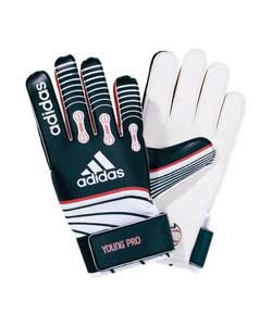Young Pro Gloves Size 6