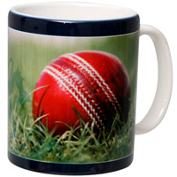 ECB Official England Cricket Ball Mug.