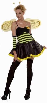 adult Costume: Bumble Bee with Wings