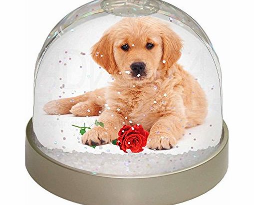 Advanta - Snow Globes Golden Retriever Dog with Rose Snow Dome Globe Waterball Gift