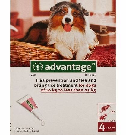 Advantage 250 For Dogs