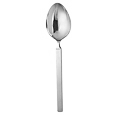 Dry - Stainless Steel Serving Spoon