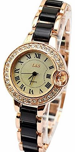 amonfineshop (TM) New Lady Gift Analog Delicate Quartz Wrist Watches (Black)