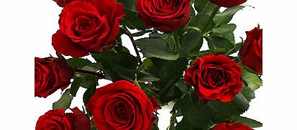 Amore - Red Roses with Chocolates and