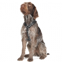 Nylon Dog Harness Black - Large Size 6-8