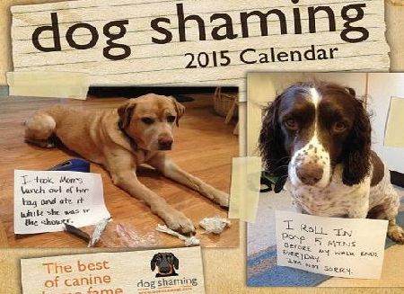Andrews Mcmeel Uk Ltd Dog Shaming 2015 Day-to-Day Box Calendar