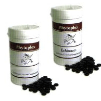 Animal Alternatives Phytoplex: Traditional Herbal Supplements - Buchu