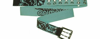 Animal Ladies Animal Split Belt. Blue Tint