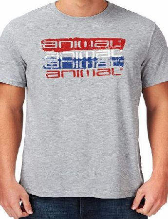 Animal Mens Animal Lahas T-shirt - Grey Marl