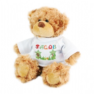 Name Teddy with T-Shirt (Boy)