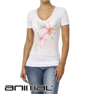Animal T-Shirts - Animal Allamanda T-Shirt - White