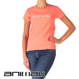 Animal T-Shirts - Animal Anhinga T-Shirt - Shell