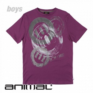 Animal T-Shirts - Animal Harck Boys T-Shirt -