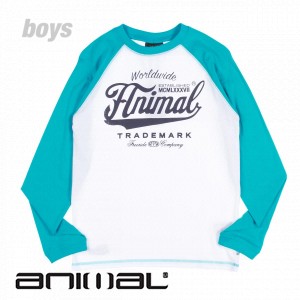 Animal T-Shirts - Animal Roarer Boys Long Sleeve