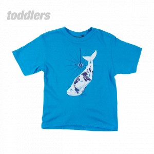 Animal Tails T-Shirts - Animal Tails Blue Whale
