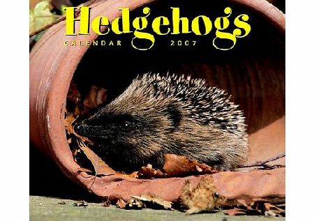 Animals Hedgehogs 2006 Calendar