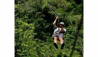 Antigua Rainforest Canopy Adventure - Adult